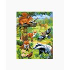 Twin Painting by Numbers - Woodland Animals
