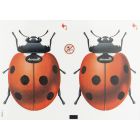 Fly Killer Window Stickers - Ladybird PK4