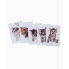 Cat Stickers 3D - Set of 6