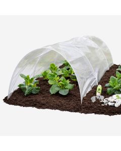 Poly Tunnel Cloche
