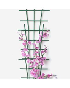 Plant Supports Pack of 2