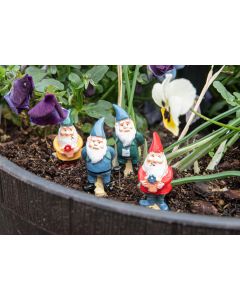 Mini Plant Pot Pals - Gnomes