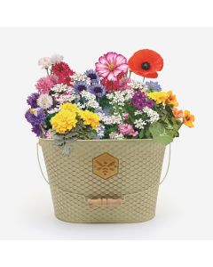 Wildflower Pollinator Trough