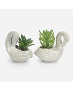 Set of 2 Swan Planters with Succulents