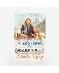 A Safe Haven on Beamer Street - Sheila Riley 