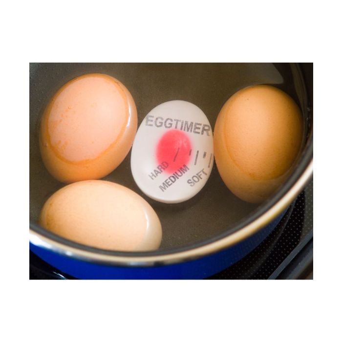 Egg Boiling Timer  Healthy Living Direct