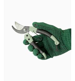 Gloves and Pruning Shears