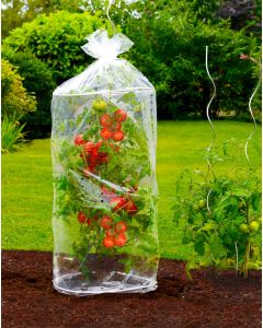 Tomato Plant Covers - Set Of 2
