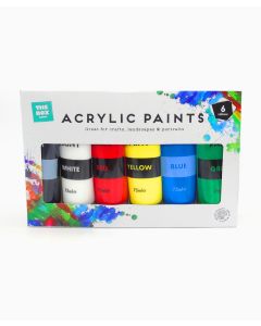 Artist Acrylic Paints - Pack of 6