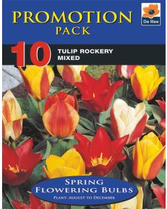 Tulip Rockery Mixed