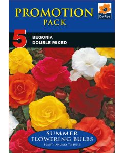 Bulb Promotion Pack - Begonia Double Mixed Pk4