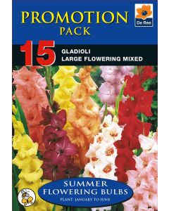 Bulb Promotion Pack - Gladiolli Large Mixed Pk15