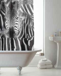 Shower Curtain Zebra