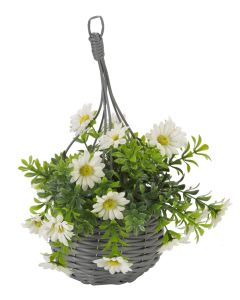 Hanging Basket PK2 - Meadow Flower