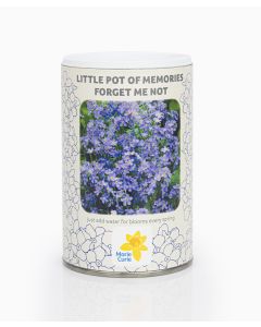 Marie Curie Little Pot of Memories (Forget me Not Growkit)