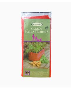 Carrot Patio Planter PK2