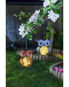 PK2 Spring Solar Owls