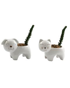 Animal Succulent Planter (Dog/Cat)
