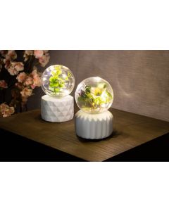 LED Plant Lamp - Set of 2