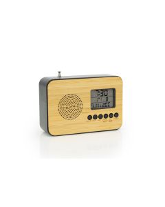 Alarm Clock / FM Radio