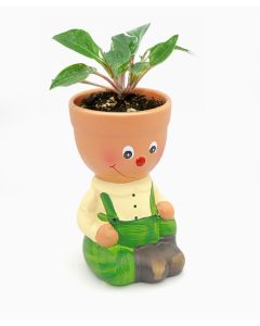 Terracotta Flowerpot Man - Tommy