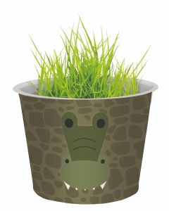 Grass Head Grow Pots