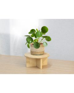 Bamboo Plant Stand 