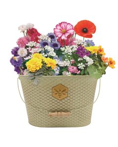 Wildflower Pollinator Trough