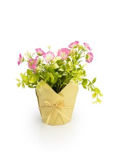 Petunias in Paper Pot