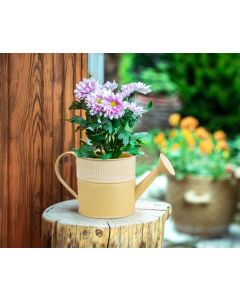 Watering Can Planter