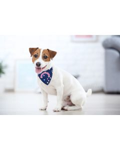 Birthday Dog Bandana