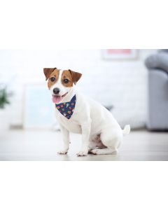  Christmas Dog Bandana