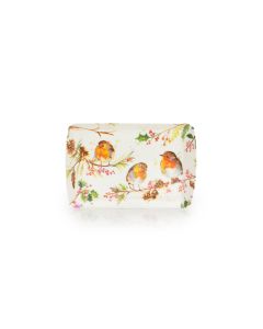 Set of 2 Trays- Robins