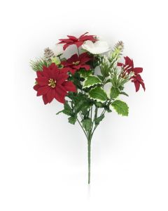 Poppy/Poinsettia/Cone Bush