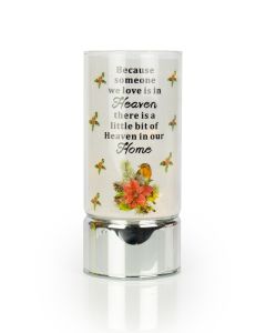 Robin & Poinsettia Tube Light - Someone Special