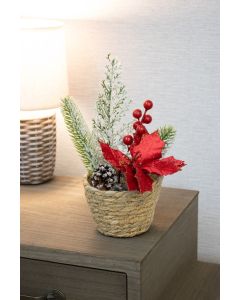 Christmas Flowers in Basket