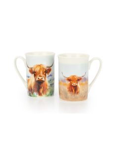 Pk2 Mugs - Highland Cow