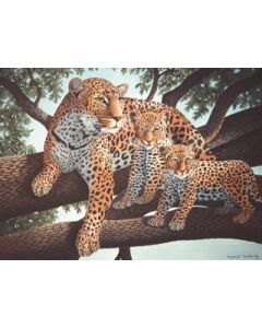 Painting By Numbers - African Leopard & Cubs