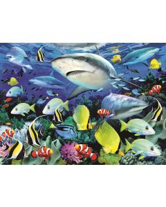 Painting By Numbers - Reef Sharks