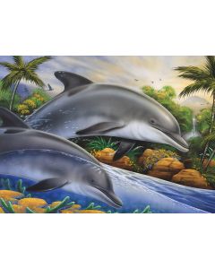 Painting By Numbers - Dolphin Island