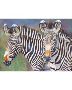 Painting By Numbers - Grevy's Zebra