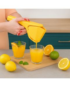 Easy Squeeze Fruit Juicer