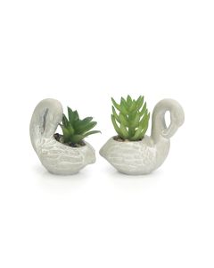 Set of 2 Swan Planters with Succulents