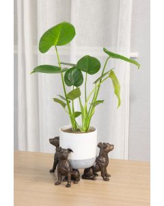 Brass Effect Jack Russell Pot Raisers - Set of 3