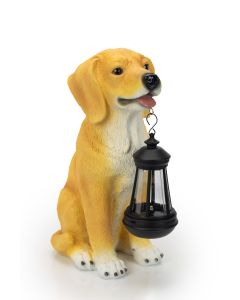 Dog with Solar Lantern in Mouth