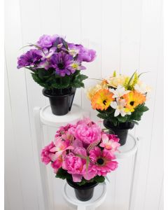 Peony Foxtail Gravepot