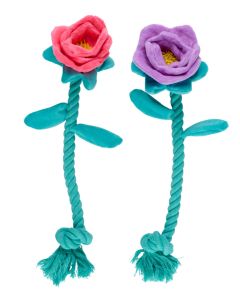 Dog Toy - Rope Flower | Healthy Living Direct