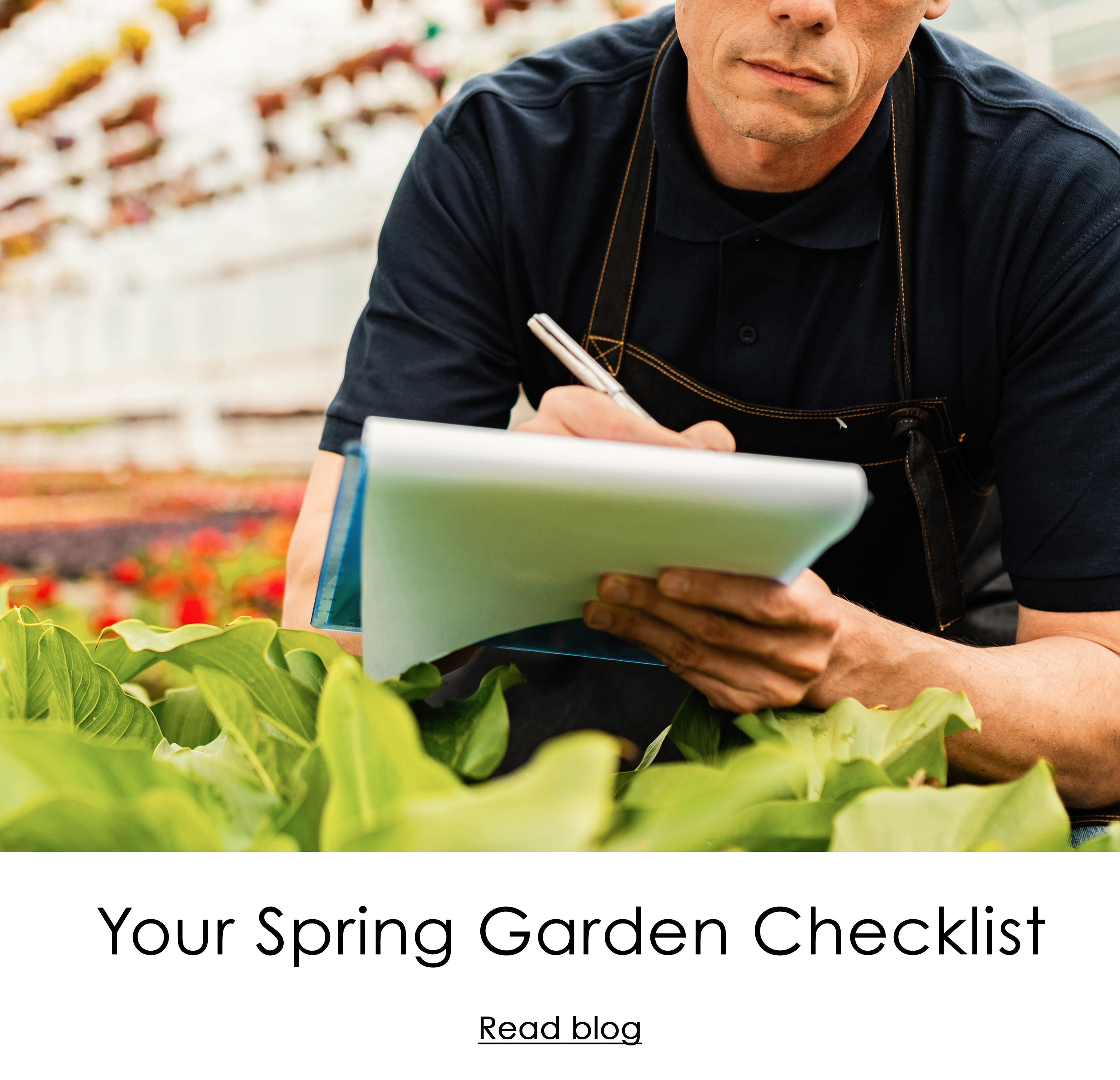 Your Spring Garden Checklist